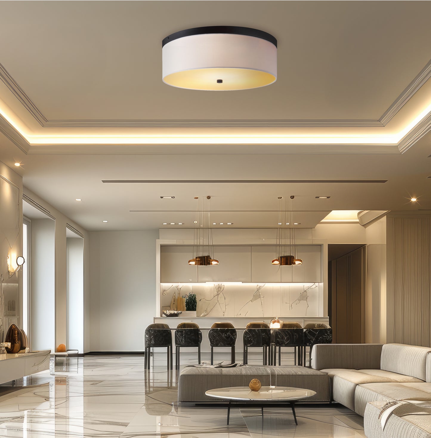 Flush Mount Light [D7-20221C]